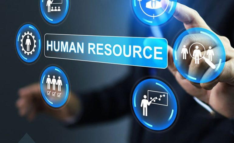 Cari Tau Tugas Human Resources Junior di Perusahaan